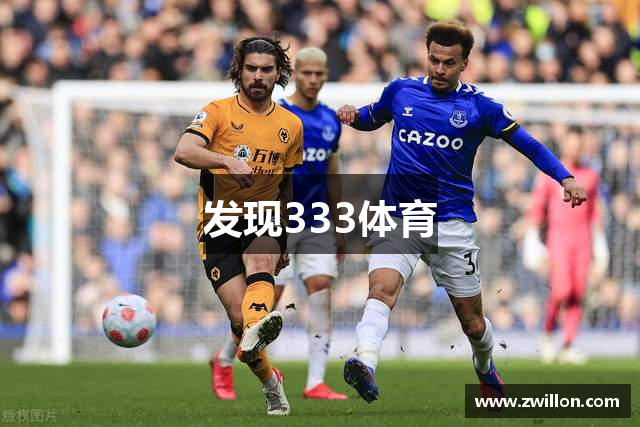 发现333体育